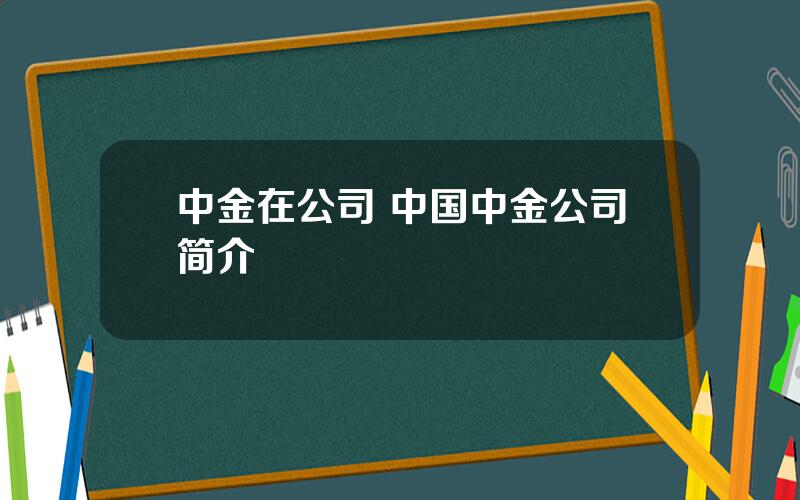 中金在公司 中国中金公司简介